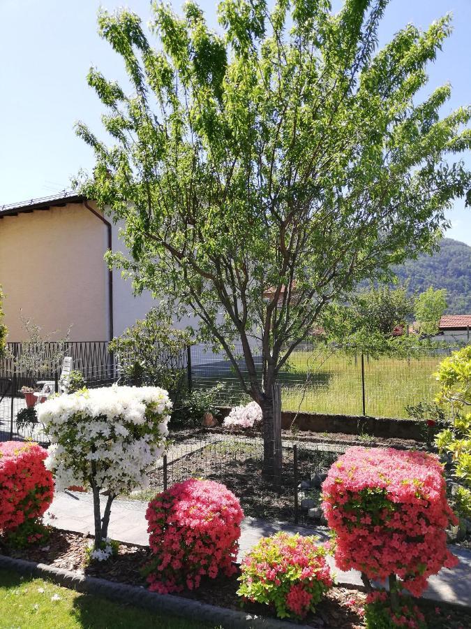 La Rosa Rossa Apartment Cambiasca Luaran gambar